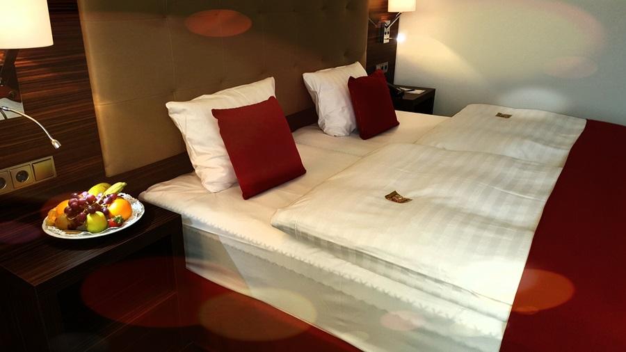 Hotel Messehotel Europe 4*